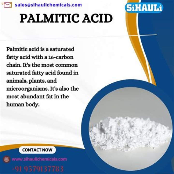 Who discovered palmitic acid?