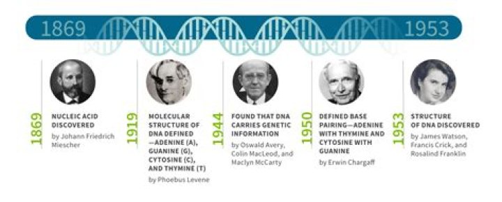 Who discovered the first neurotransmitter?