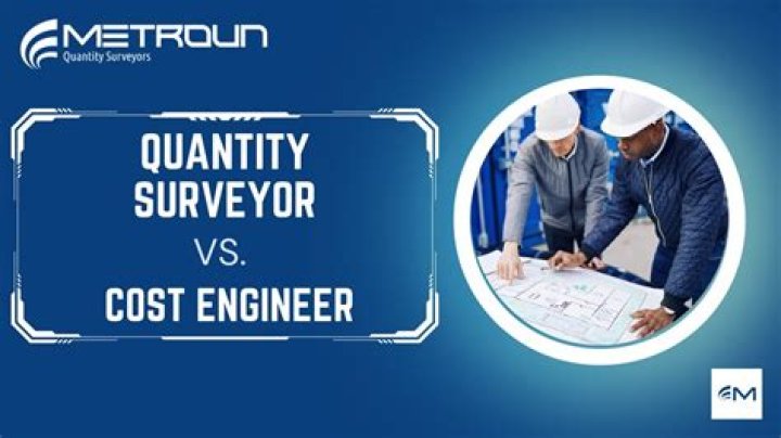Who do surveyors work for?