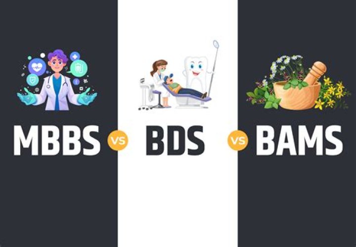 Who earns more bds or bams?