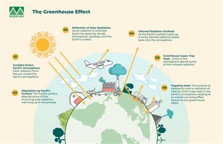 Who emits most greenhouse gases?