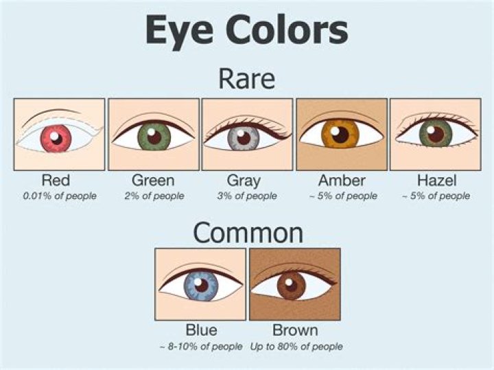 Who eye color is the most attractive?