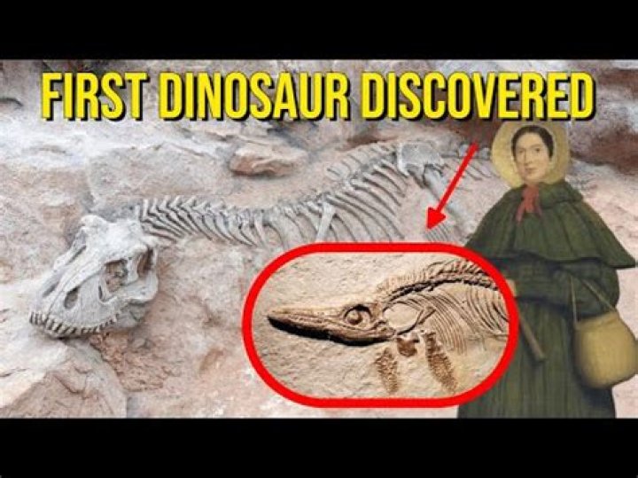 Who first discovered fossils?
