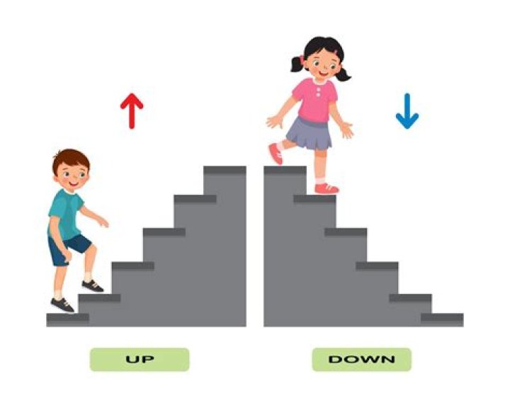 Who go up and down?