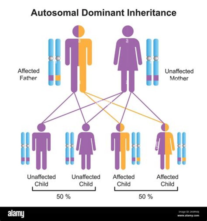 Who inherited autosomal dna?