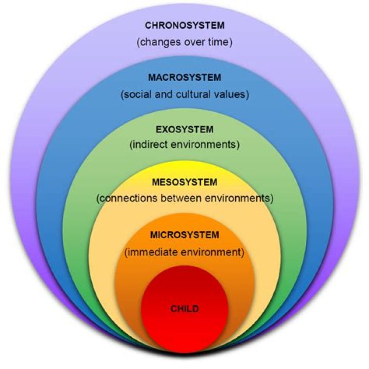 Who invented bioecological model?