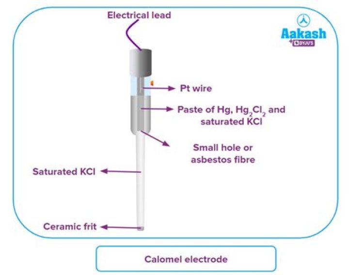 Who invented calomel electrode?