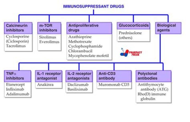 Who invented immunosuppressive drugs?