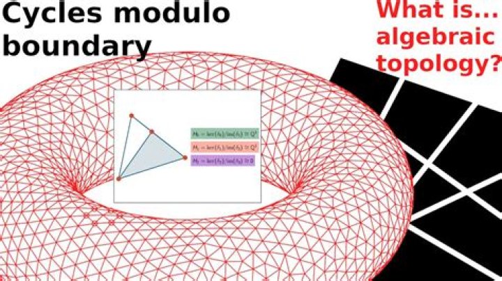 Who invented singular homology?