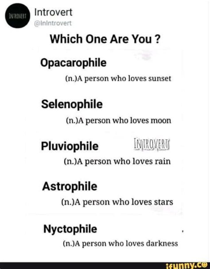 Who is a pluviophile person?