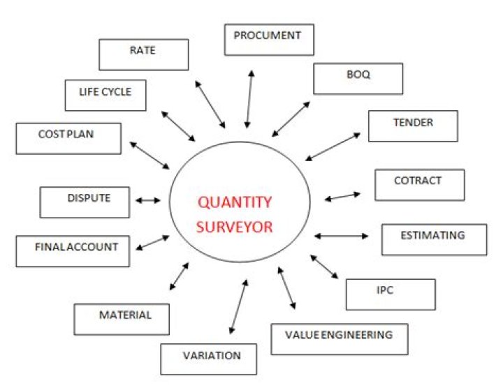 Who is a professional quantity surveyor?