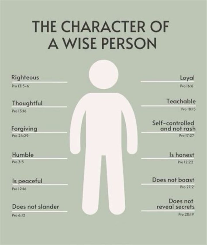 Who is a wise person according to the bible?