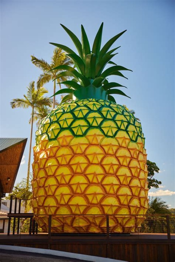 Who is big pineapple?