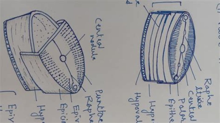 Who is centric parts?