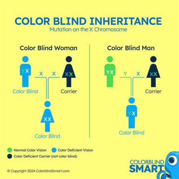 Who is color blindness inherited from?