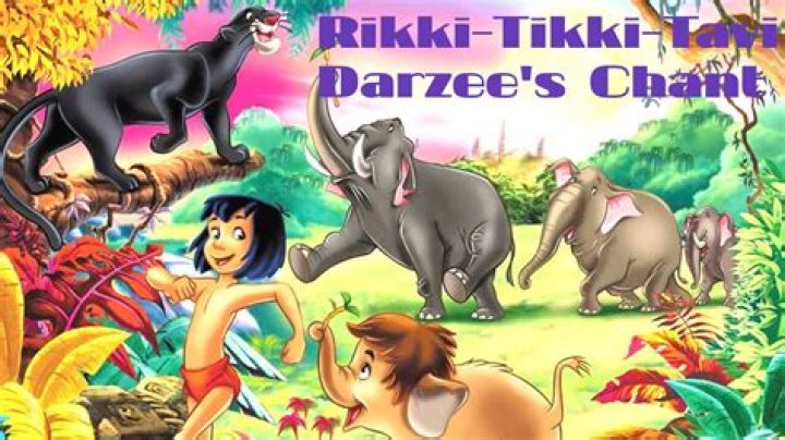 Who is darzee wife in rikki tikki tavi?
