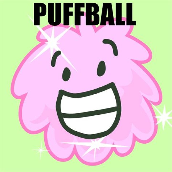 Who is puffball bfdi?