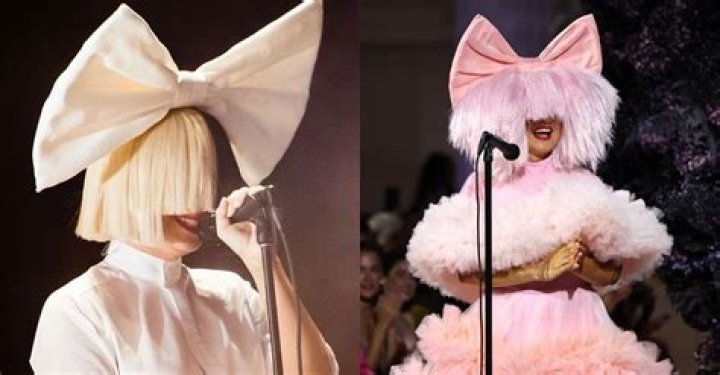 Who is the singer who hides her face?