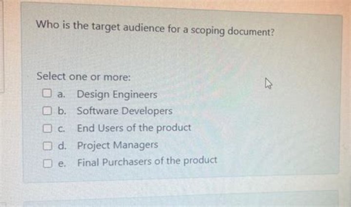 Who is the target audience for a scoping document?