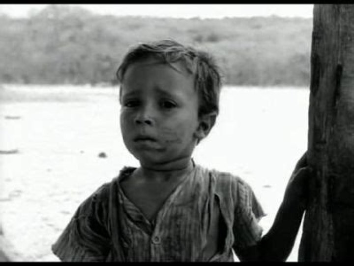 Who is wilfred in lord of the flies?