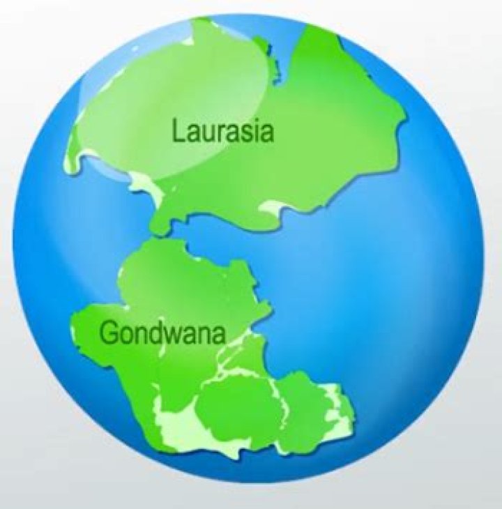 Who lived in gondwana?