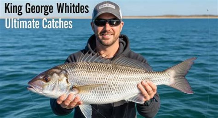Who named king george whiting?