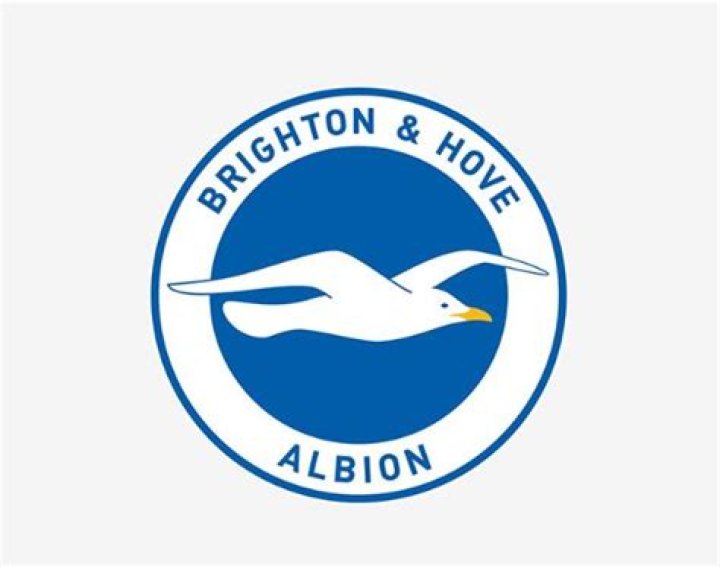 Who owns brighton fc?