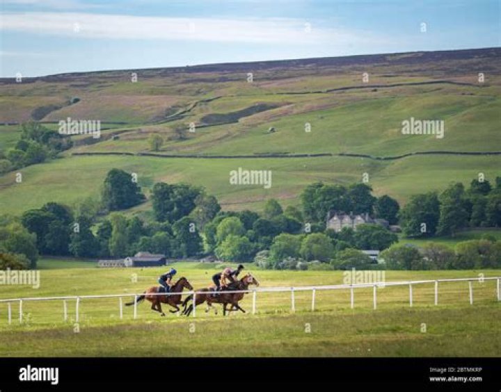 Who owns middleham gallops?