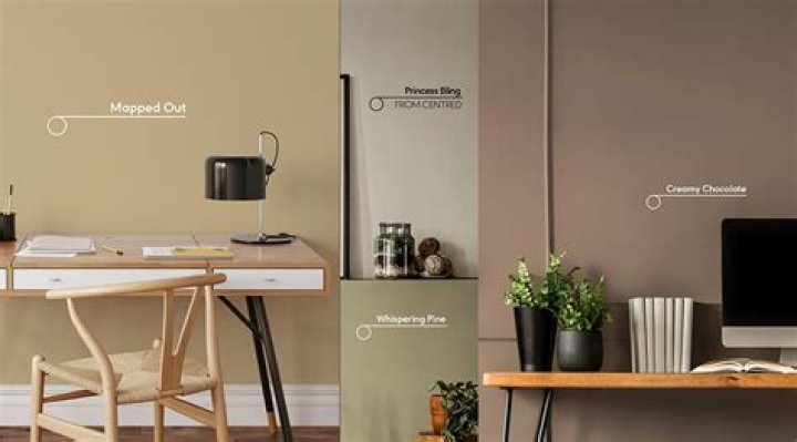 Who owns taubmans paints?