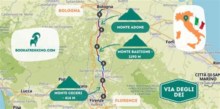 Who owns umberto giannini?