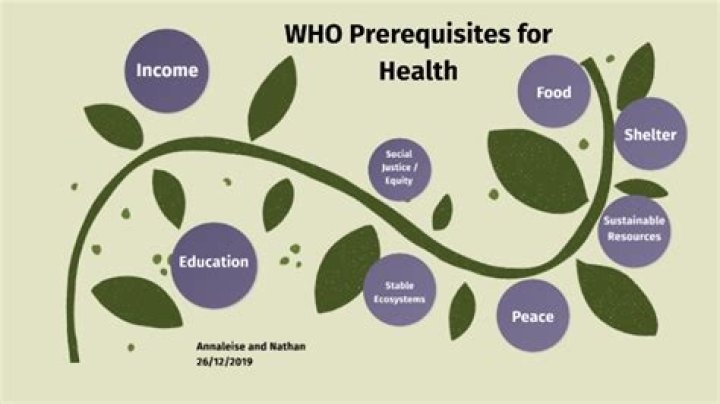 Who prerequisites for health?