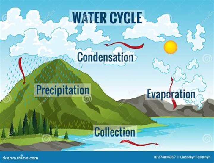 Who to spell precipitation?
