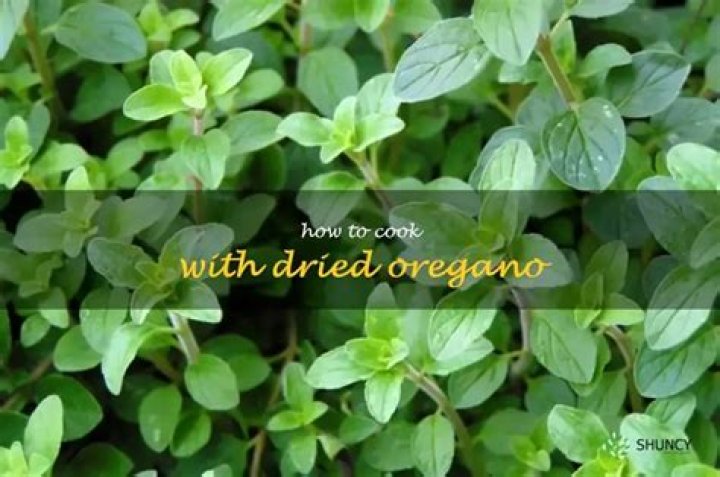 Who to use oregano?
