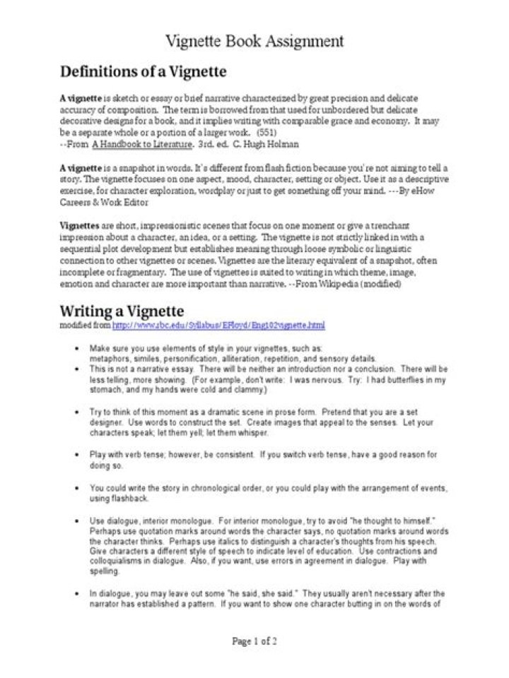 Who to write a vignette?