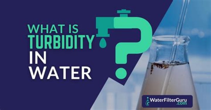Who turbidity drinking water?