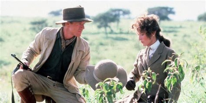 Who was denys in out of africa?