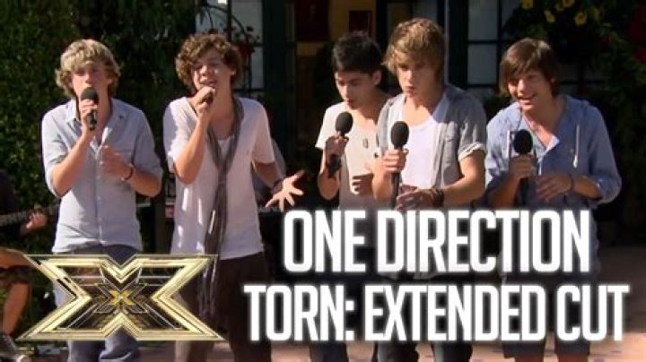 Who was in one direction x factor year?