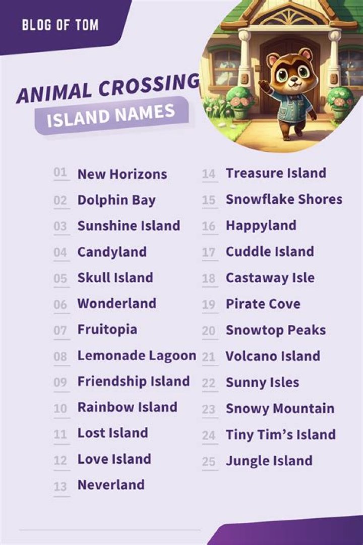 Whos ship is on my island animal crossing?