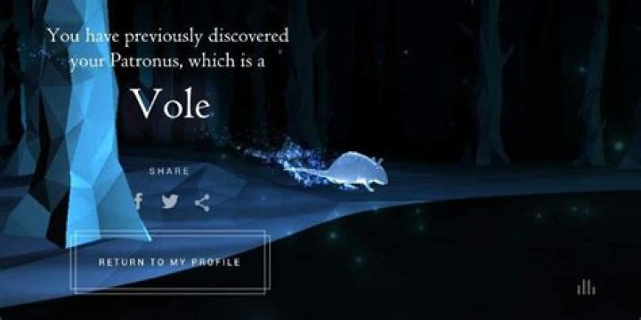 Whose patronus is a salmon?