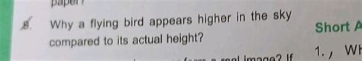 Why a flying bird appears higher?