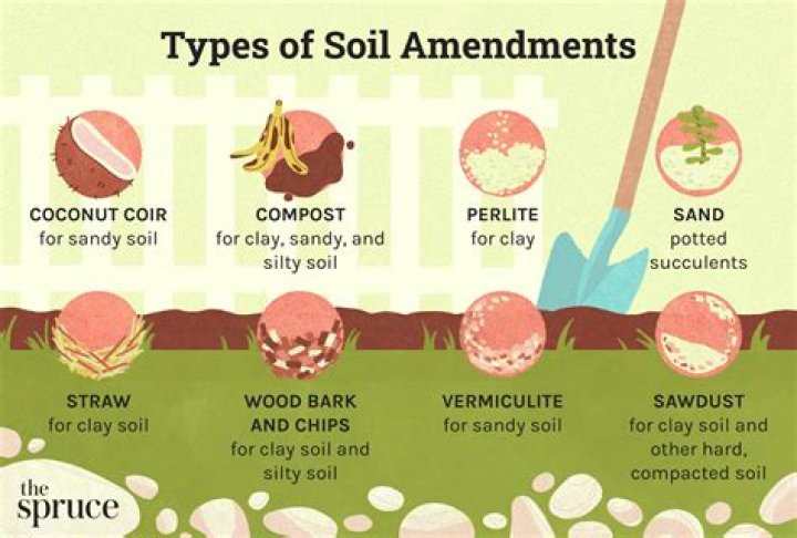 Why ameliorate and amend the soil?