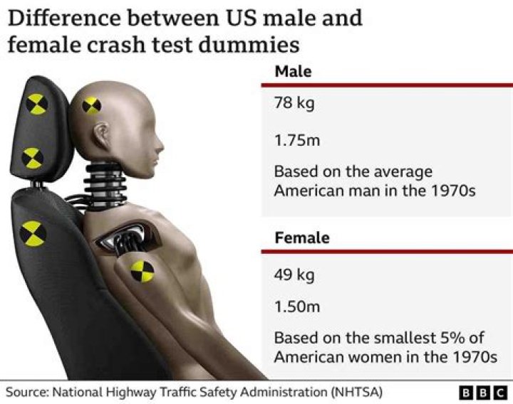 Why are cadavers used to test vehicle crashes?