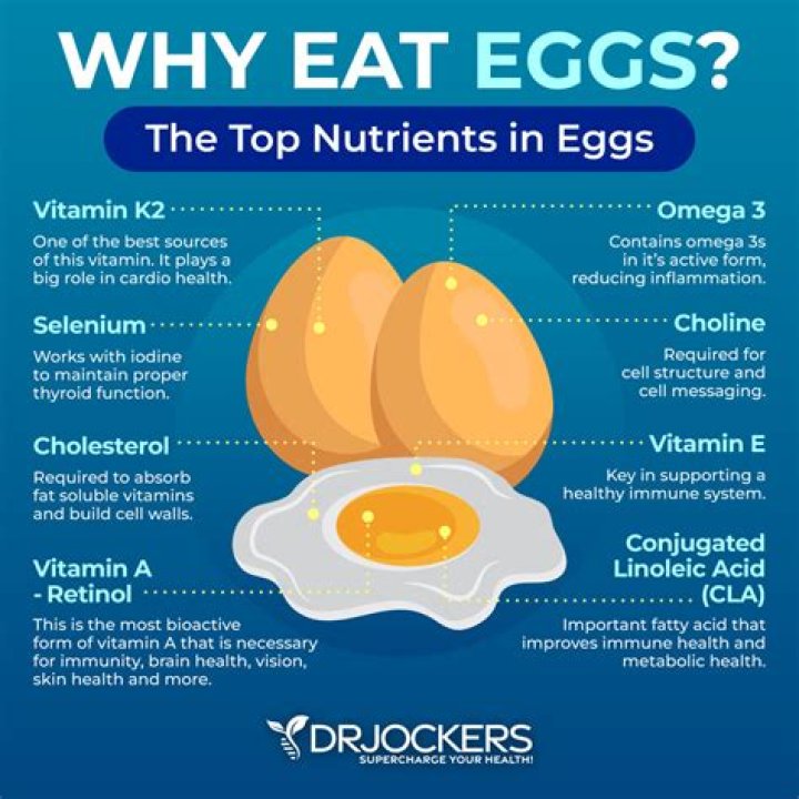 Why are eggs poultry?