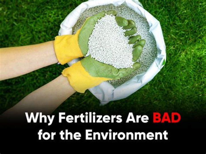 Why are fertilizers bad?