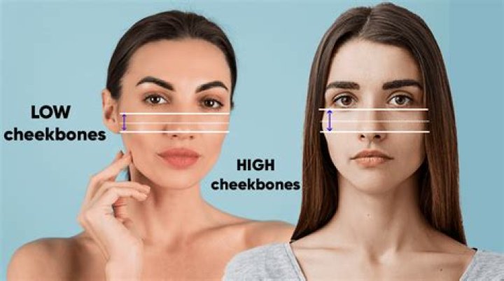 Why are high cheekbones attractive?