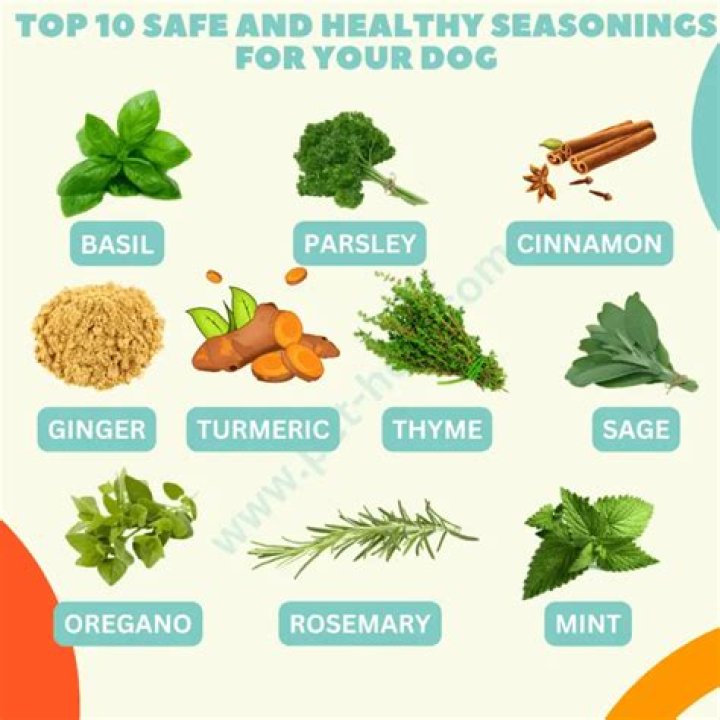 Why are seasonings bad for dogs?