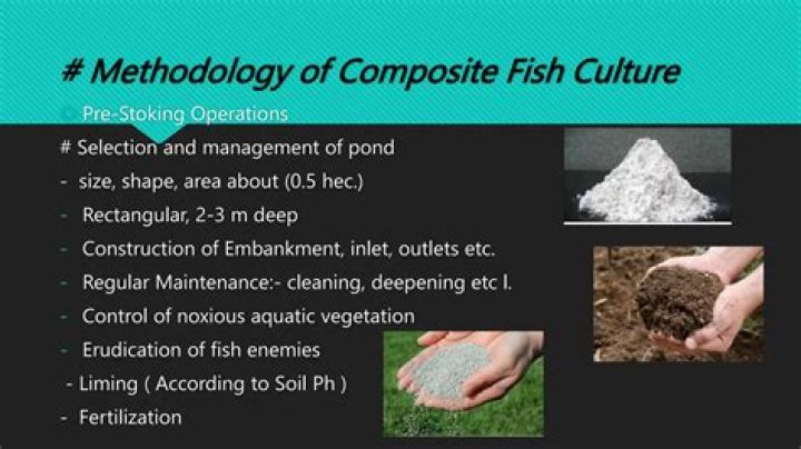 Why are the advantages of composite fish culture?