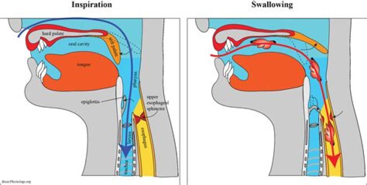 Why baby swallowing air?