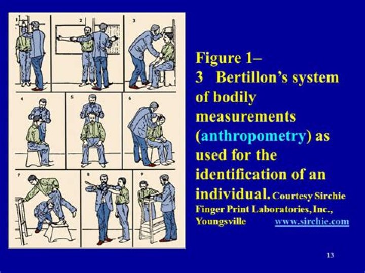 Why bertillon system fail?