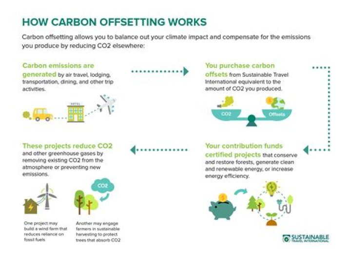 Why carbon offsets don't work?